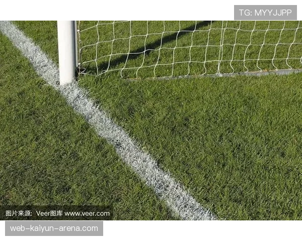 门线判定：判罚依据是球是否完全越过球门线